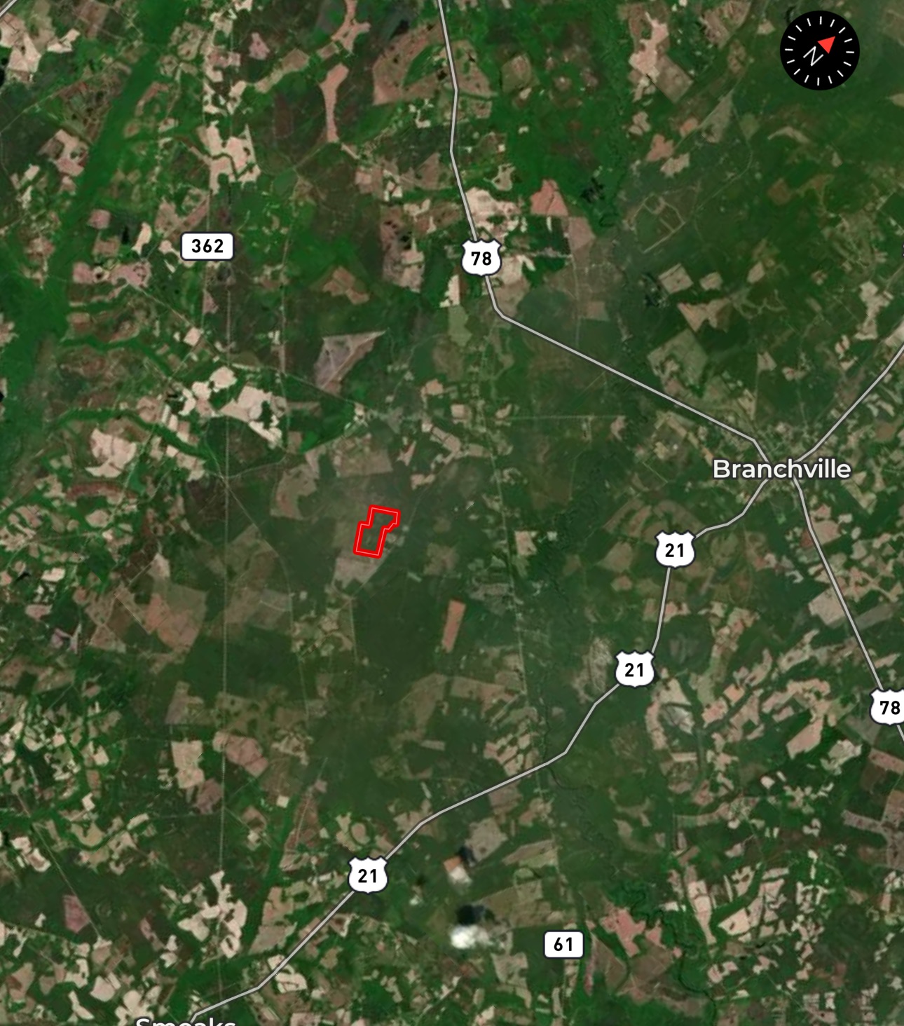 106+ acres of land for recreation, timber, and habitat management in Bamberg, SC!